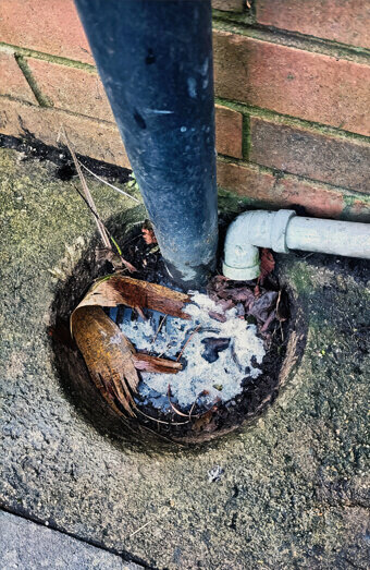 https://plumberthornlie.com.au/uploads/2025/06/blocked-drains-294506.jpg
