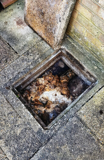 https://plumberthornlie.com.au/uploads/2025/06/blocked-drains-465055.jpg