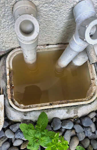 https://plumberthornlie.com.au/uploads/2025/06/blocked-drains-912576.jpg